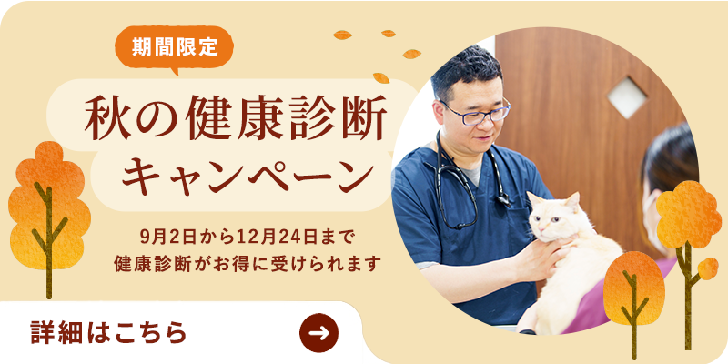 秋の健康診断
