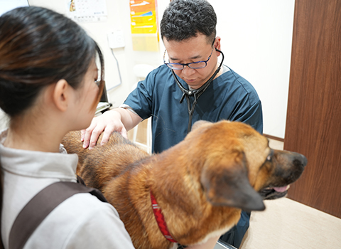 健康チェック