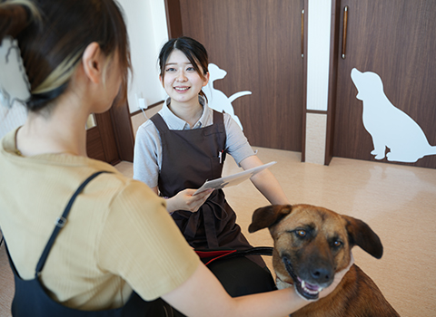お迎え