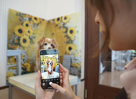 チェックシートと仕上がり写真お渡し